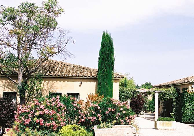 Le Mazet 40 Villa Saint-Rémy-de-Provence Exteriör bild