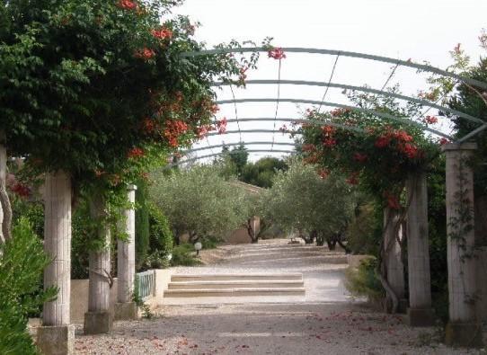 Le Mazet 40 Villa Saint-Rémy-de-Provence Exteriör bild