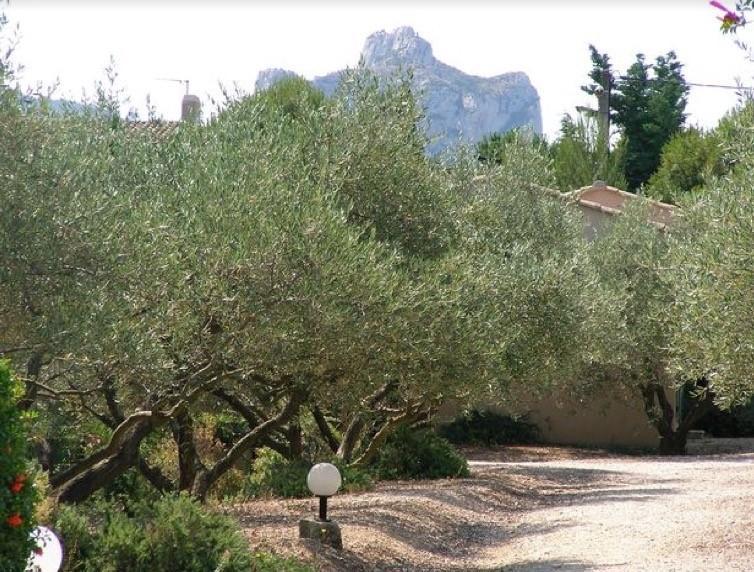 Le Mazet 40 Villa Saint-Rémy-de-Provence Exteriör bild